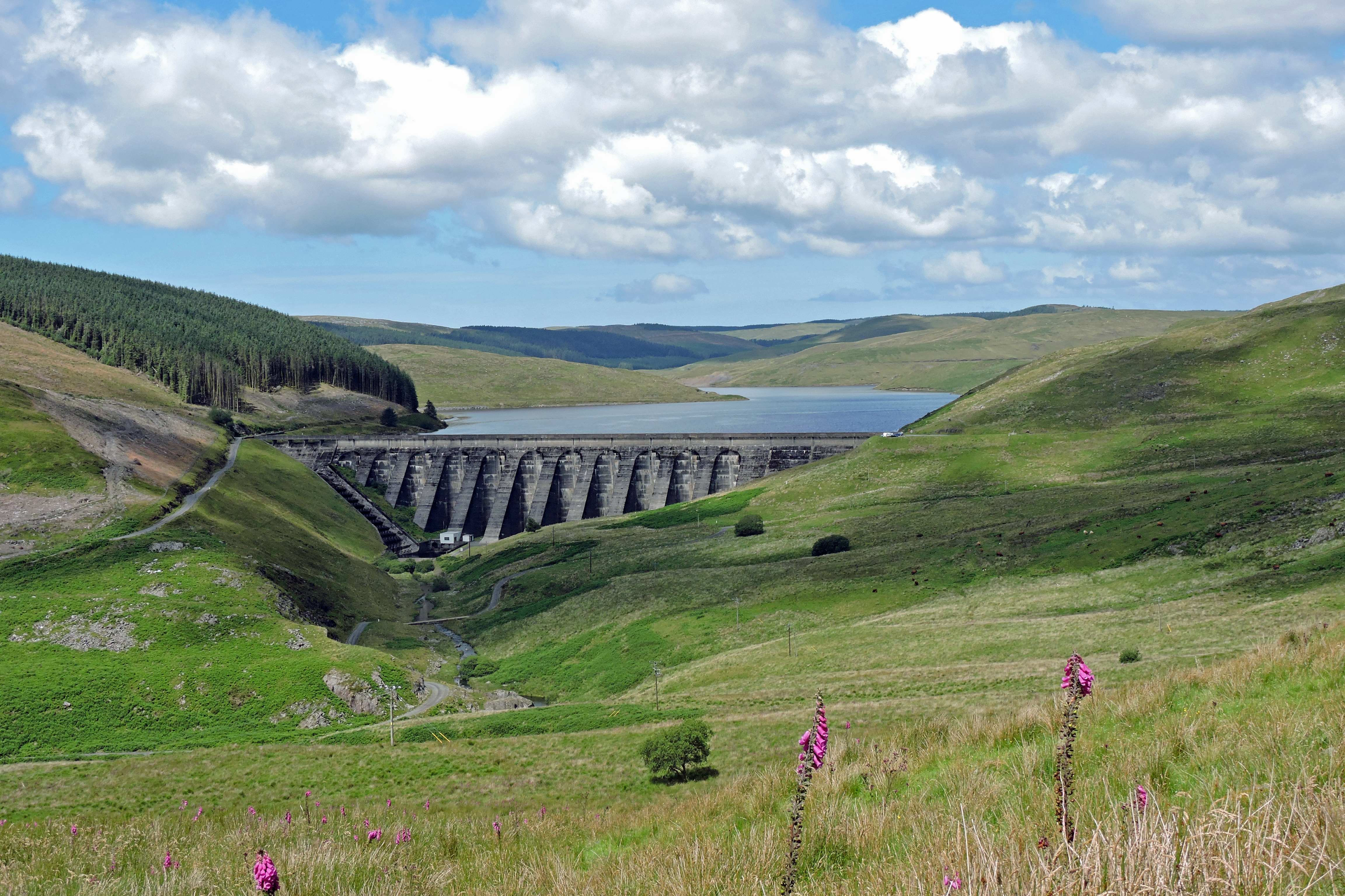 NANT Y MOCH DAM Bill Bagley Photography